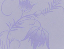 矽藻泥(ní)藝術塗料(liào)002