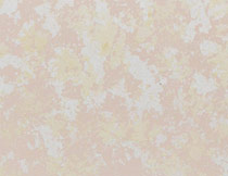 珍珠閃光石塗(tu)料002