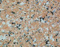 仿(páng)花崗岩塗料(liao)