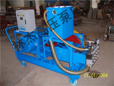 帶水箱移動(dong)式清洗泵