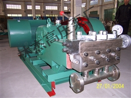 ZW3080高壓泵(bèng)