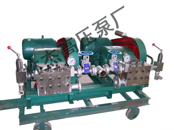 高壓清洗泵廠家(jiā)